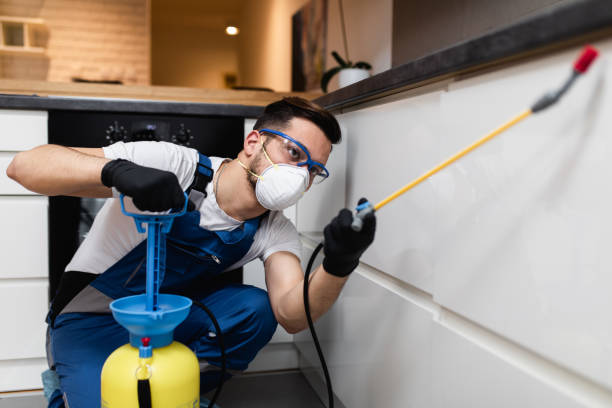Best Pest Removal Services  in Medford, NY