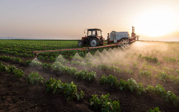 Best Mosquito Control Services  in Medford, NY