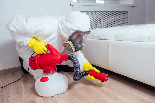 Best Affordable Pest Control Services  in Medford, NY