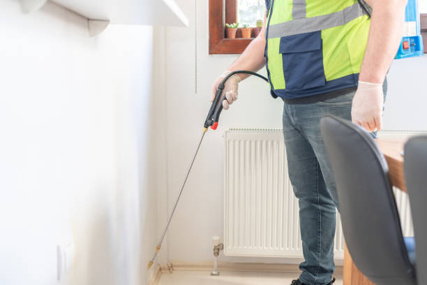 Best Pest Control for Homes  in Medford, NY